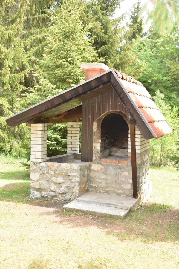 Vikendica Na Sokolini Villa Gornja Koprivna Exterior photo